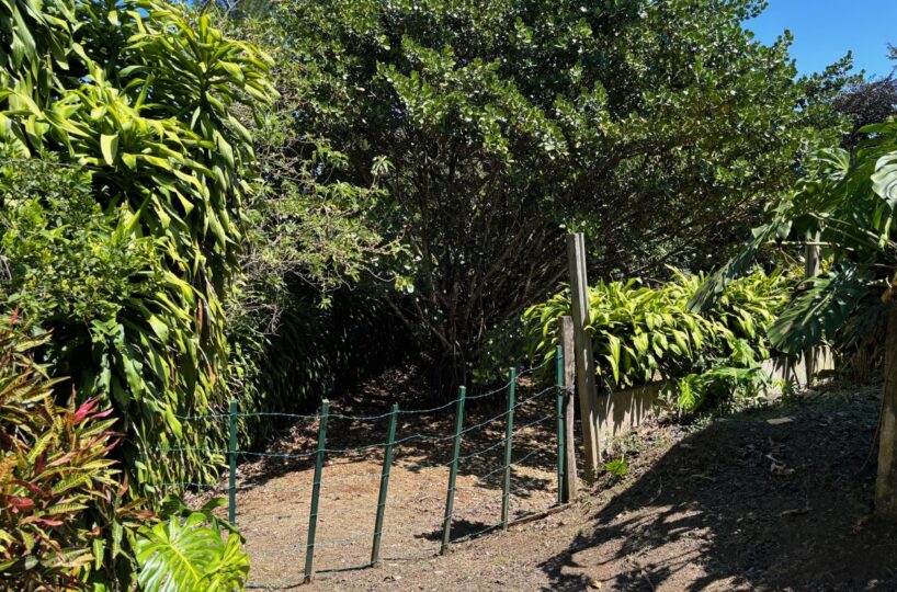 Building Lots for sale in Atenas Costa Rica