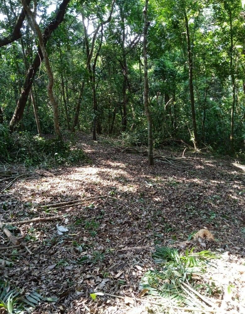 Building Lots for sale in Atenas Costa Rica