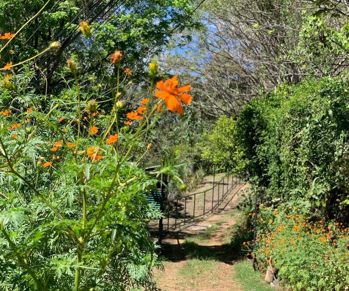 Building Lots for sale in Atenas Costa Rica