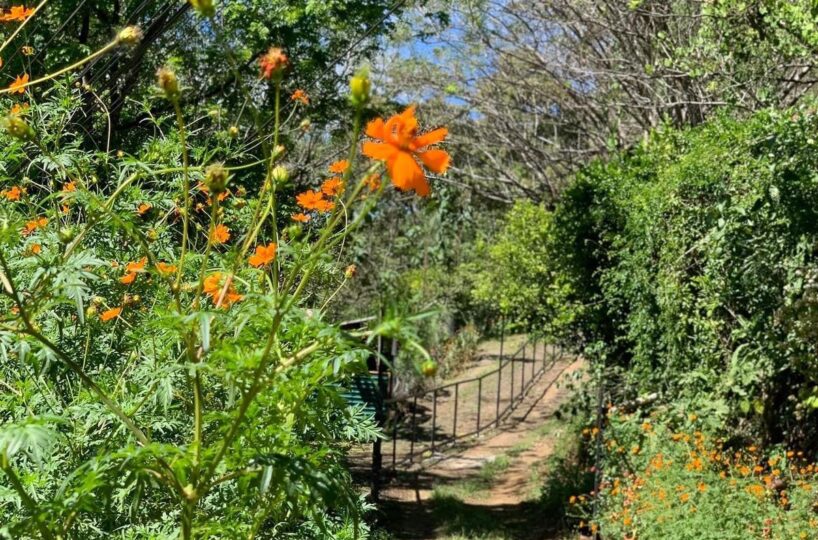 Building Lots for sale in Atenas Costa Rica