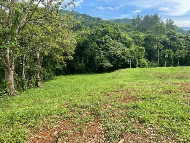 Building Lots for sale in Atenas Costa Rica
