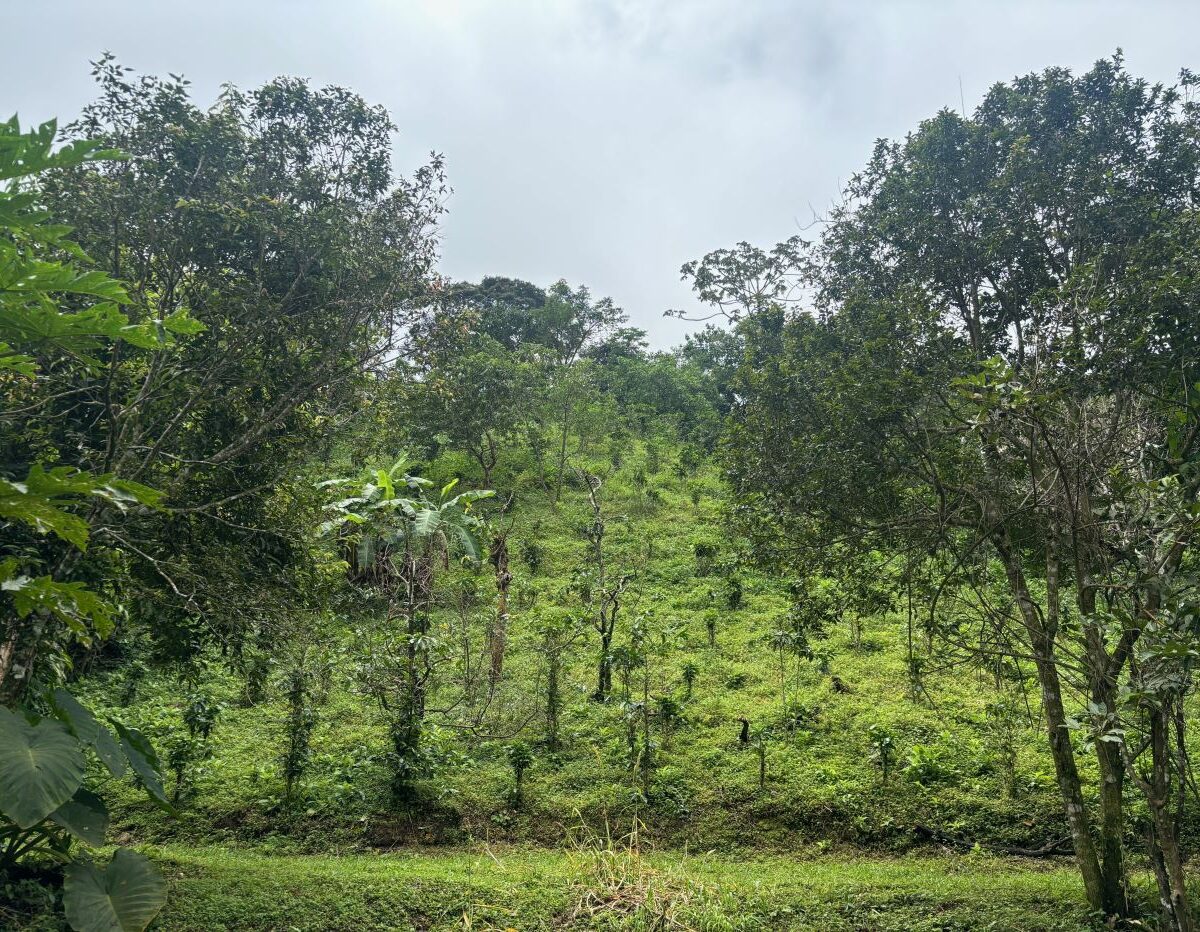 Building Lots for sale in Atenas Costa Rica