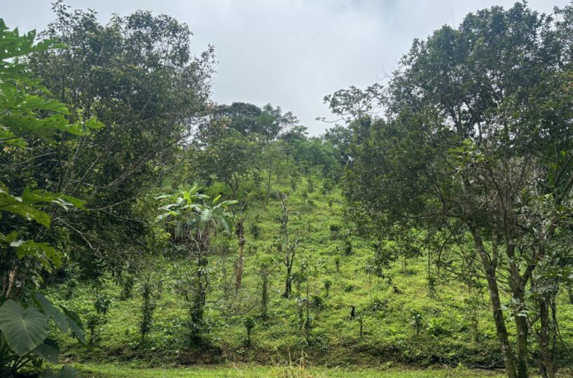 Building Lots for sale in Atenas Costa Rica
