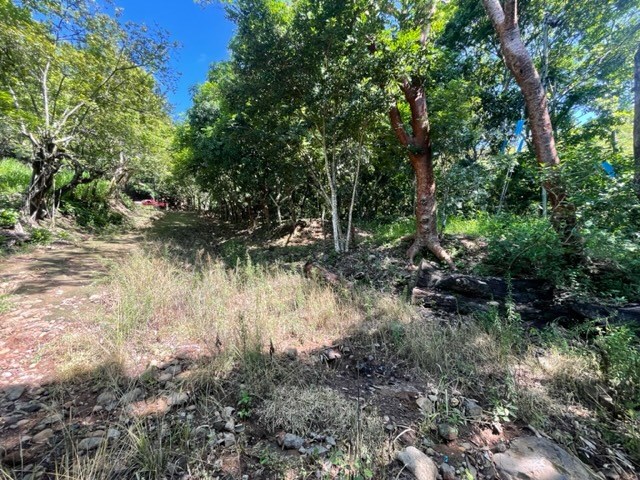 Building Lots for sale in Atenas Costa Rica