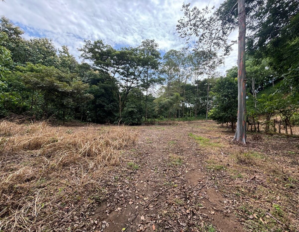 Building Lots for sale in Atenas Costa Rica