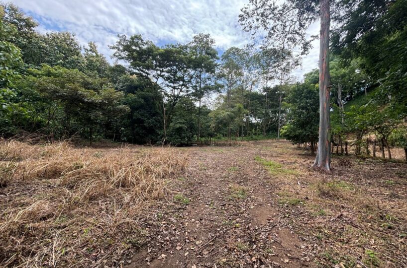 Building Lots for sale in Atenas Costa Rica