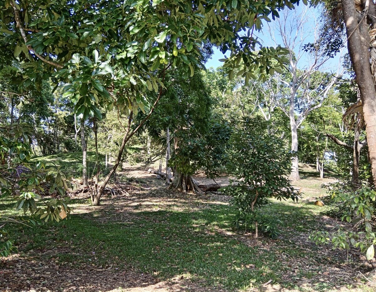 Building Lots for sale in Atenas Costa Rica