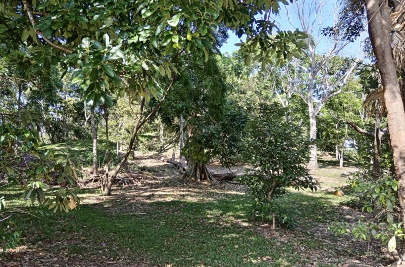 Building Lots for sale in Atenas Costa Rica