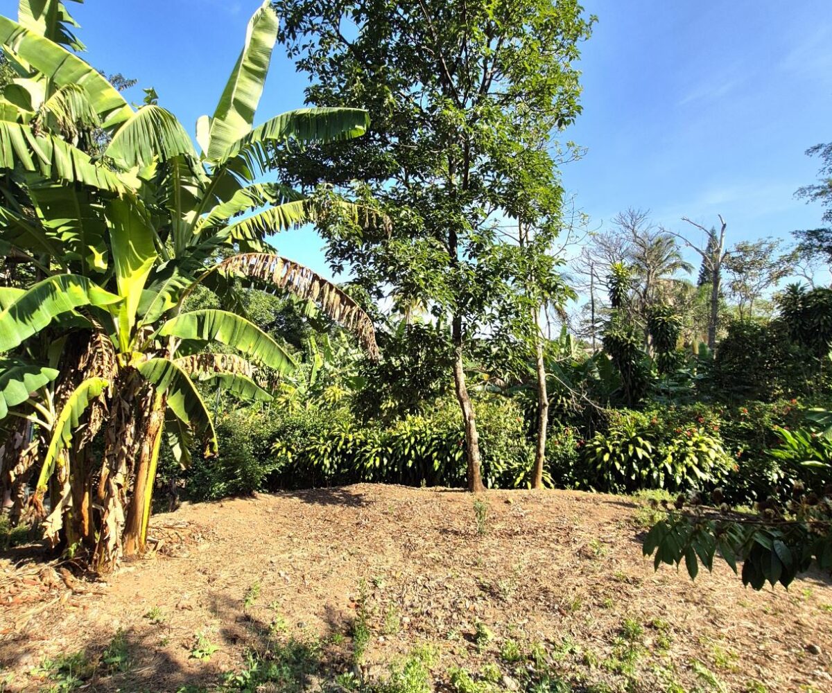 Building Lots for sale in Atenas Costa Rica