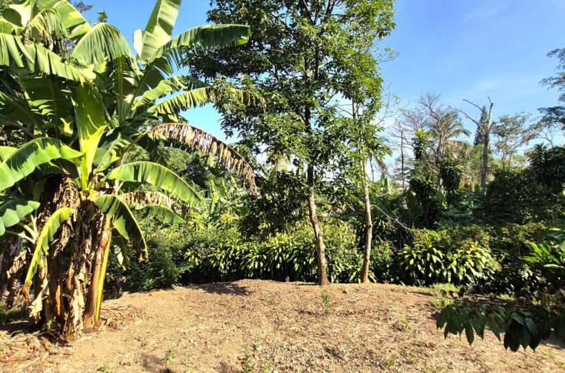 Building Lots for sale in Atenas Costa Rica