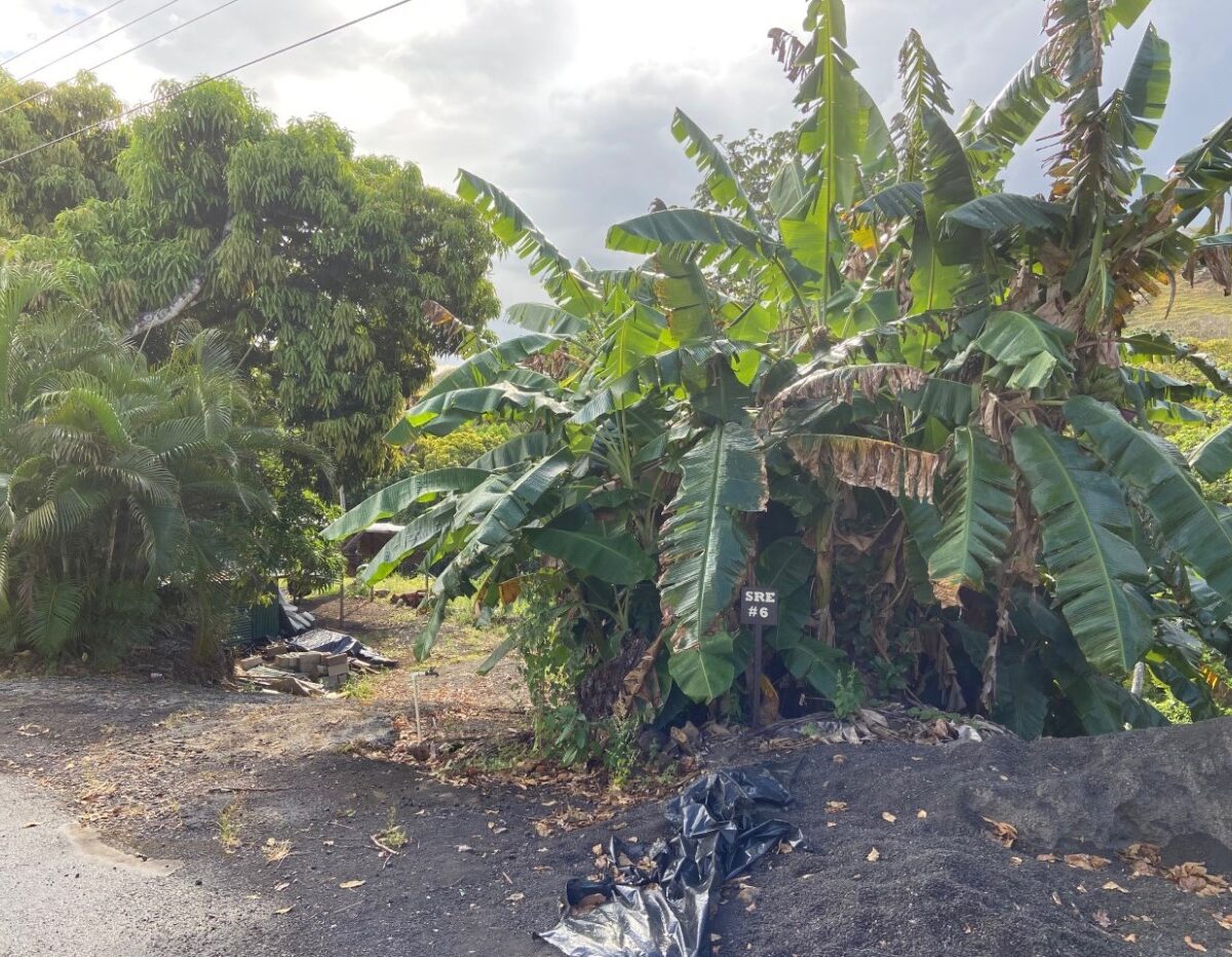 Building Lots for sale in Atenas Costa Rica