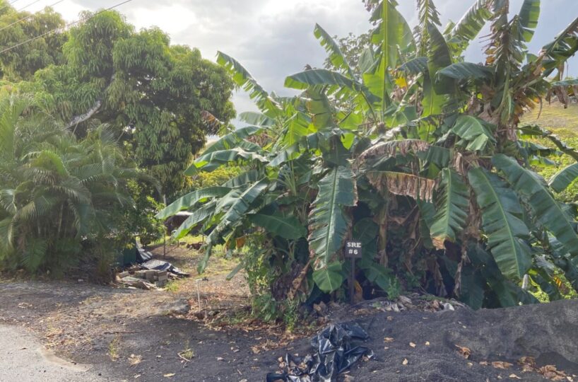 Building Lots for sale in Atenas Costa Rica