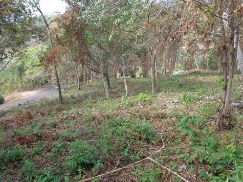Building Lots for sale in Atenas Costa Rica