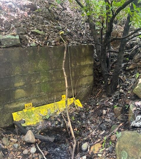 Homes for sale in Atenas Costa Rica