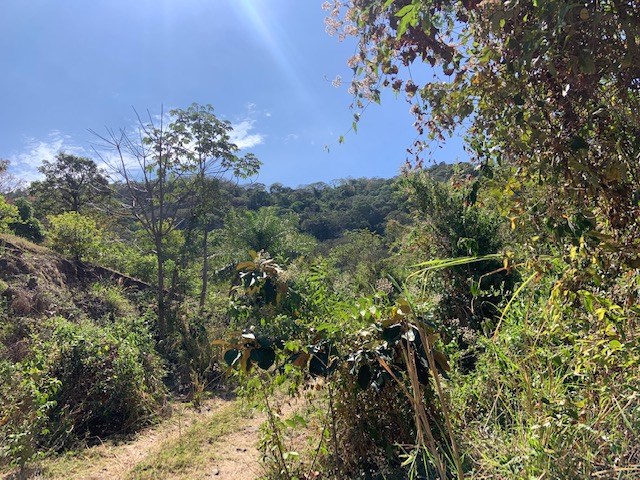 Building Lots for sale in Atenas Costa Rica