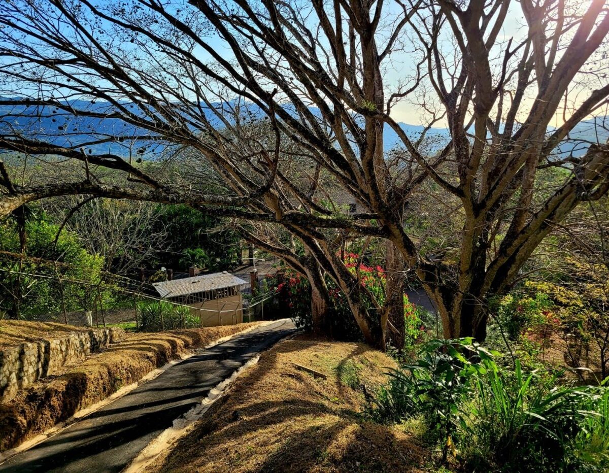 Homes for sale in Atenas Costa Rica