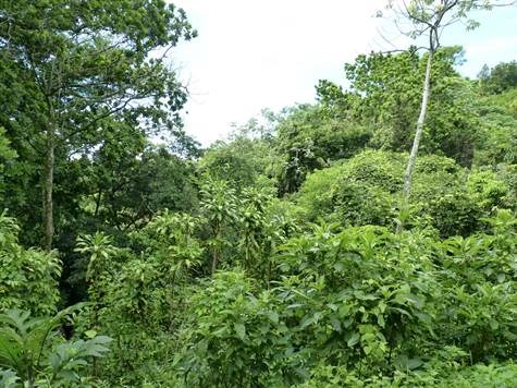 Homes for sale in Atenas Costa Rica