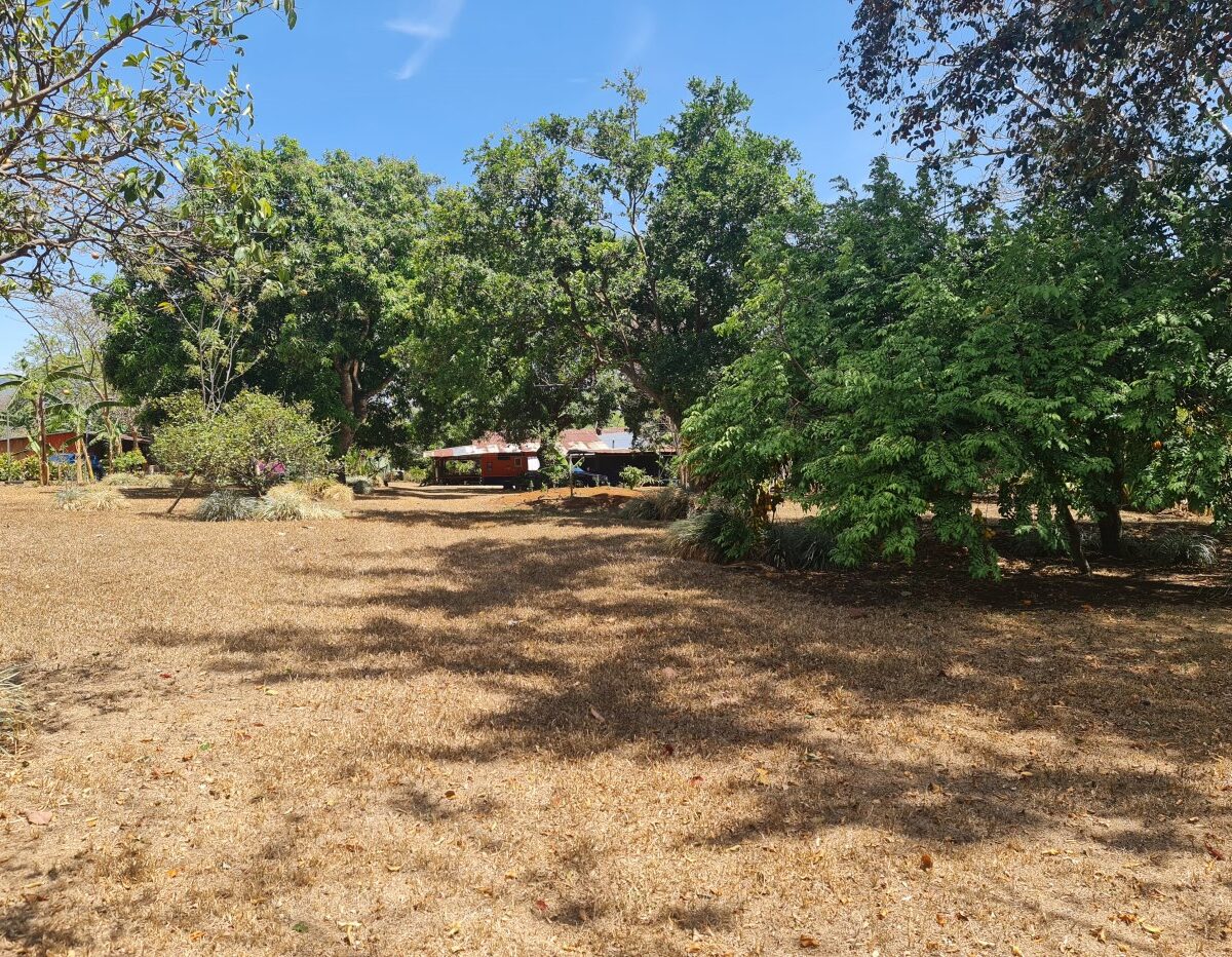 Homes for sale in Atenas Costa Rica