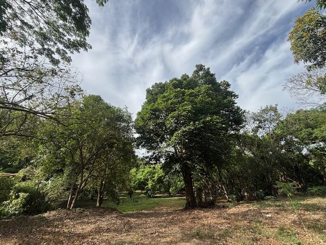 Building Lots for sale in Atenas Costa Rica
