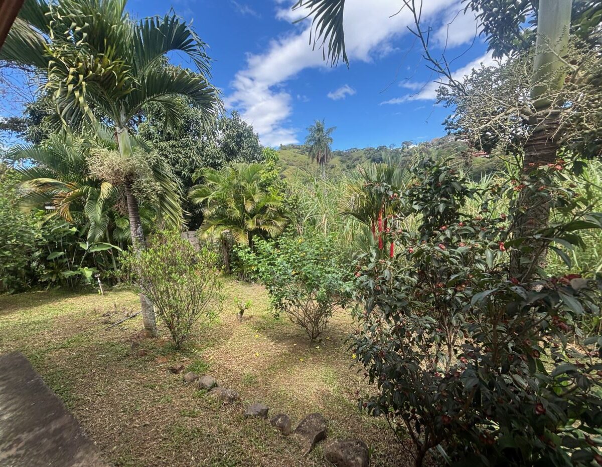 Homes for sale in Atenas Costa Rica
