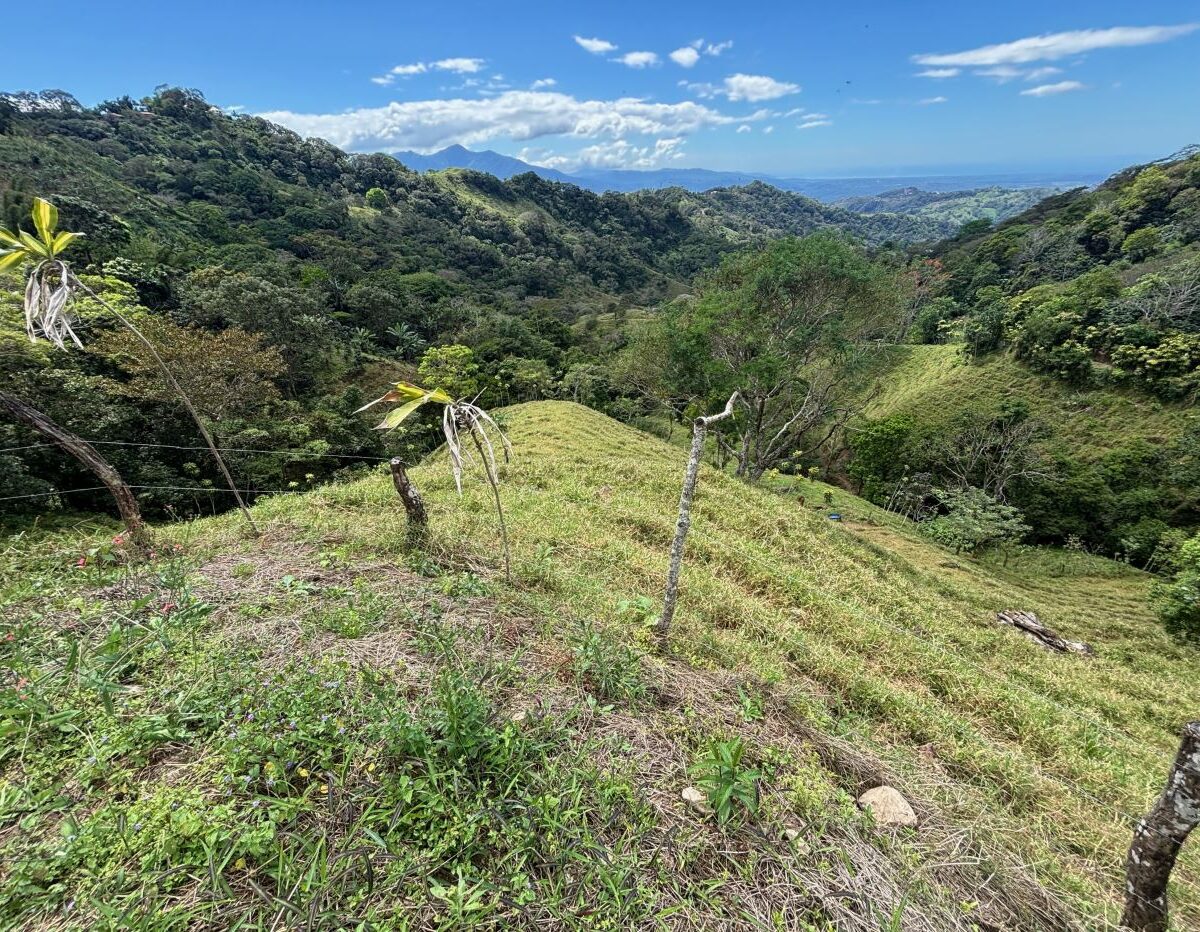 Homes for sale in Atenas Costa Rica