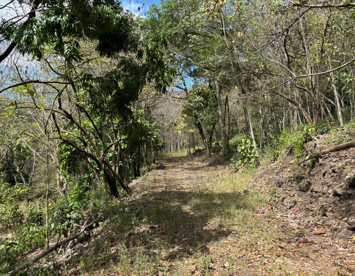 Building Lots for sale in Atenas Costa Rica