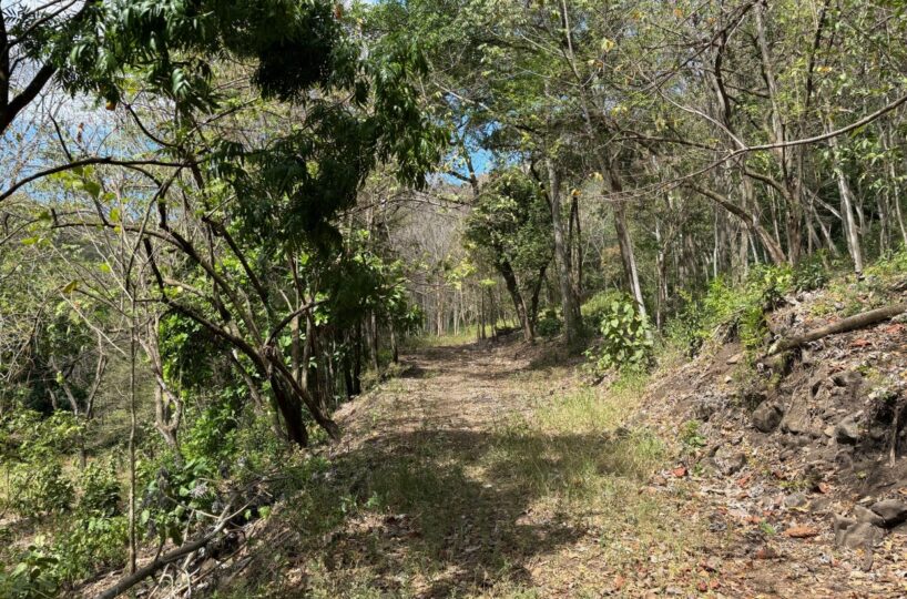 Building Lots for sale in Atenas Costa Rica