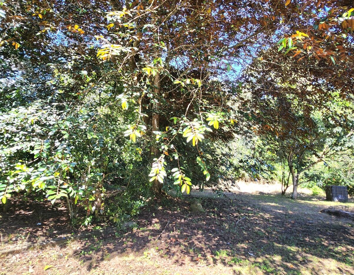 Building Lots for sale in Atenas Costa Rica