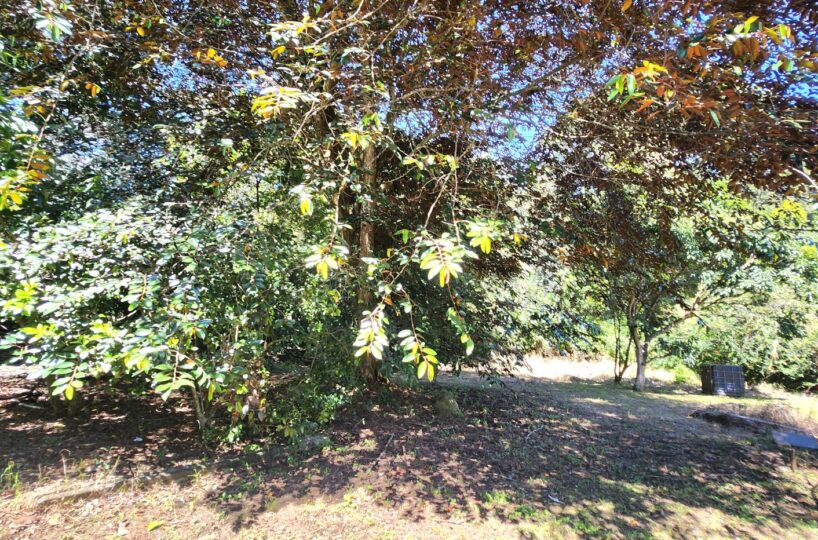 Building Lots for sale in Atenas Costa Rica