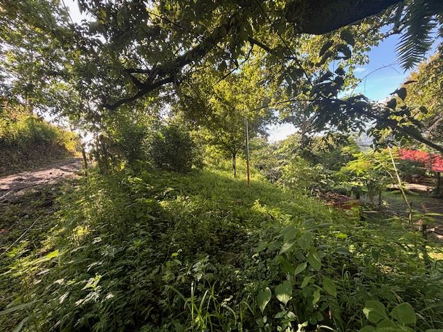 Homes for sale in Atenas Costa Rica