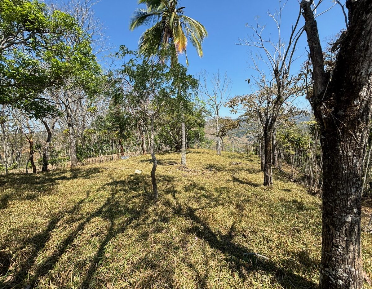Building Lots for sale in Atenas Costa Rica