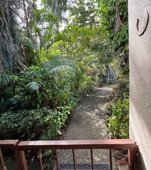 Homes for sale in Atenas Costa Rica