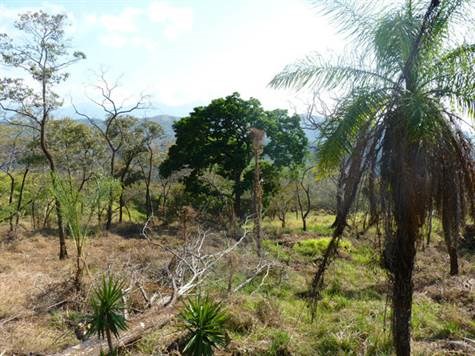 Building Lots for sale in Atenas Costa Rica
