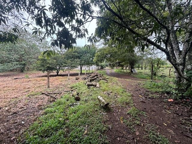 Building Lots for sale in Atenas Costa Rica