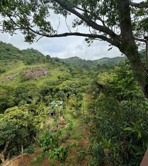 Homes for sale in Atenas Costa Rica