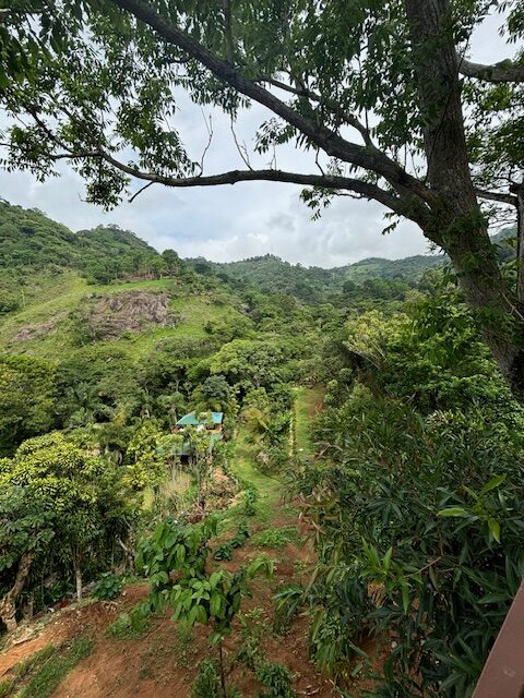 Homes for sale in Atenas Costa Rica