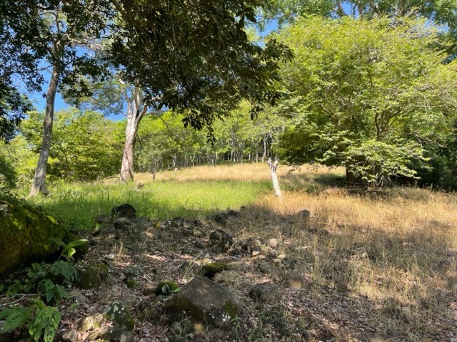 Building Lots for sale in Atenas Costa Rica