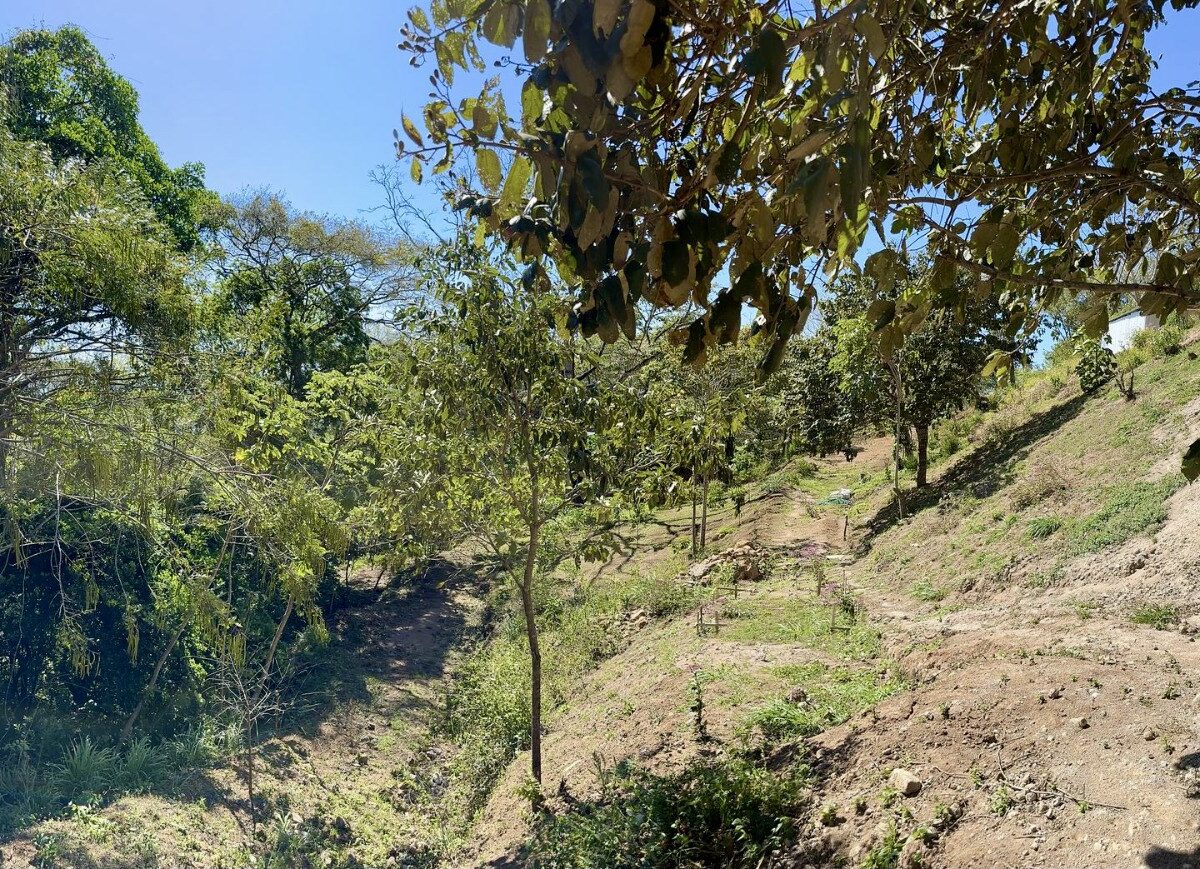 Building Lots for sale in Atenas Costa Rica