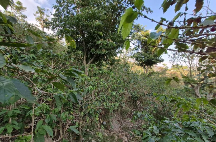 Building Lots for sale in Atenas Costa Rica