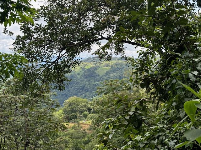 Homes for sale in Atenas Costa Rica