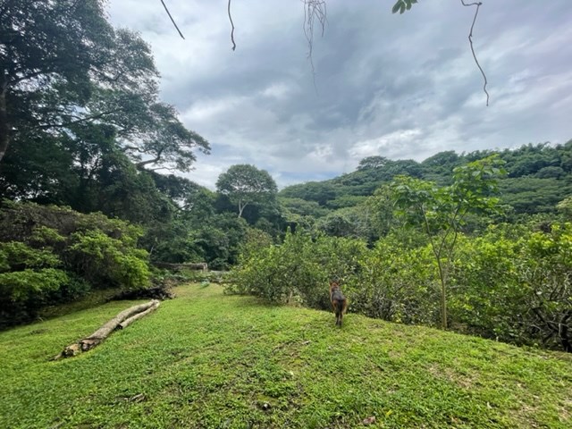 Building Lots for sale in Atenas Costa Rica