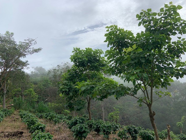 Building Lots for sale in Atenas Costa Rica