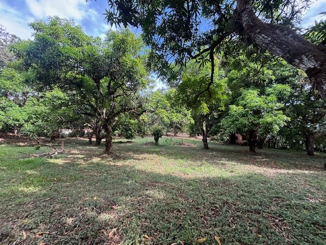 Building Lots for sale in Atenas Costa Rica