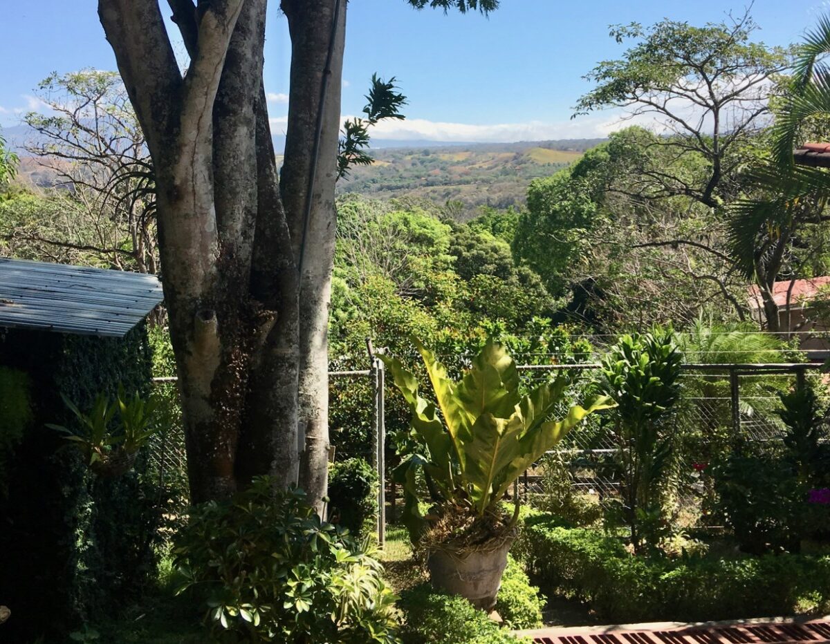 Homes for sale in Atenas Costa Rica