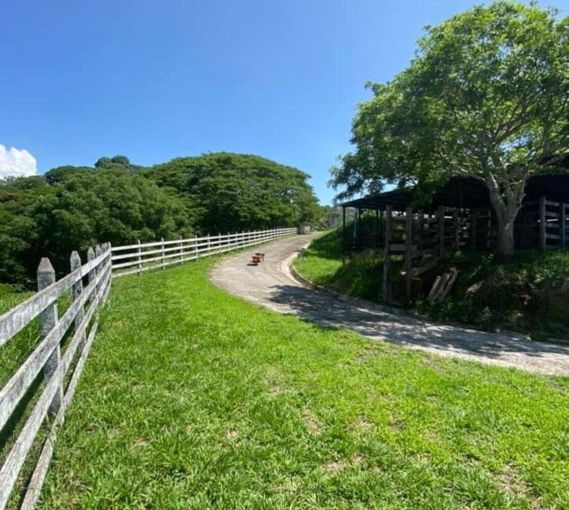 Homes for sale in Atenas Costa Rica