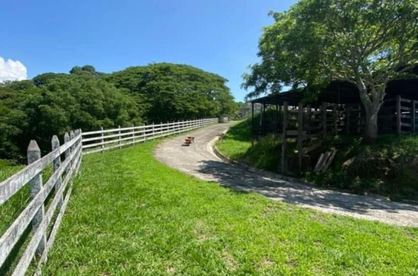 Homes for sale in Atenas Costa Rica