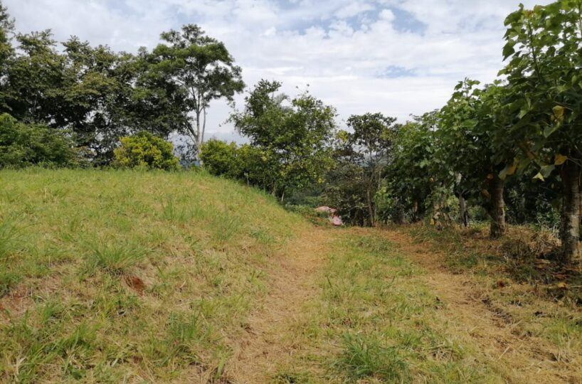Building Lots for sale in Atenas Costa Rica