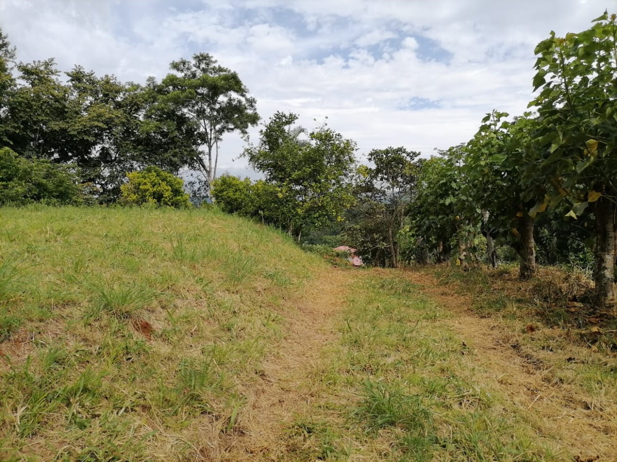 Building Lots for sale in Atenas Costa Rica