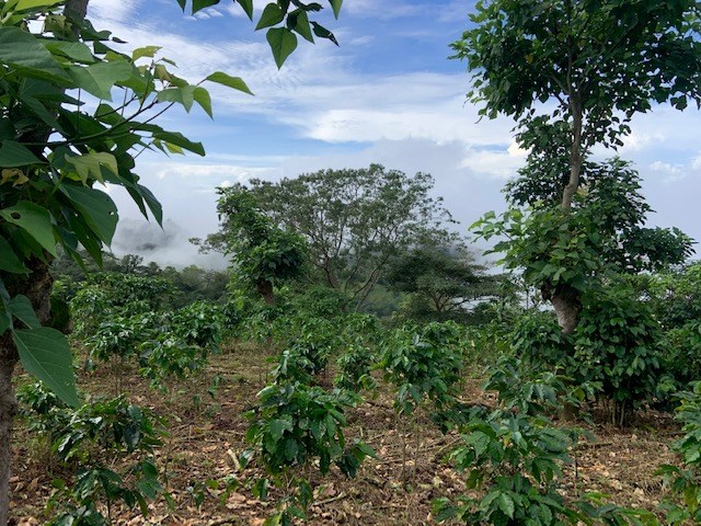 Building Lots for sale in Atenas Costa Rica