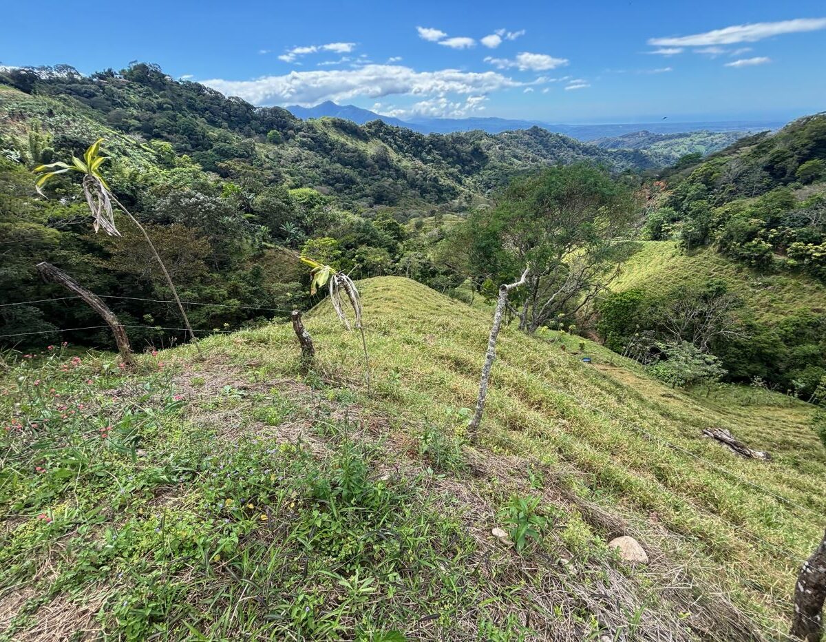 Homes for sale in Atenas Costa Rica